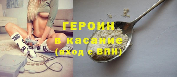 индика Арсеньев