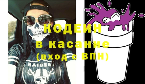индика Арсеньев